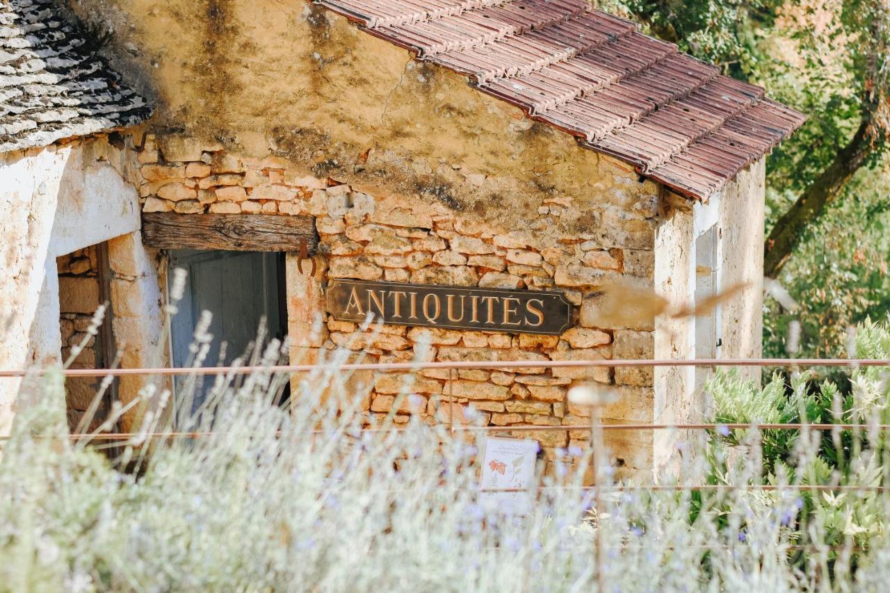 Maison Cistus - Maison D'Hotes De Charme - Suites Et Gite Avec Terrasses Privees - Proche De Sarlat, Au Coeur De La Nature 외부 사진
