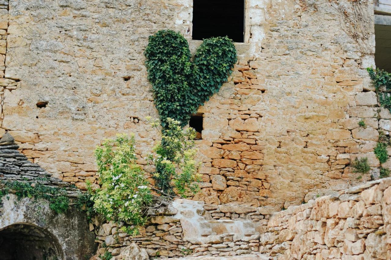 Maison Cistus - Maison D'Hotes De Charme - Suites Et Gite Avec Terrasses Privees - Proche De Sarlat, Au Coeur De La Nature 외부 사진